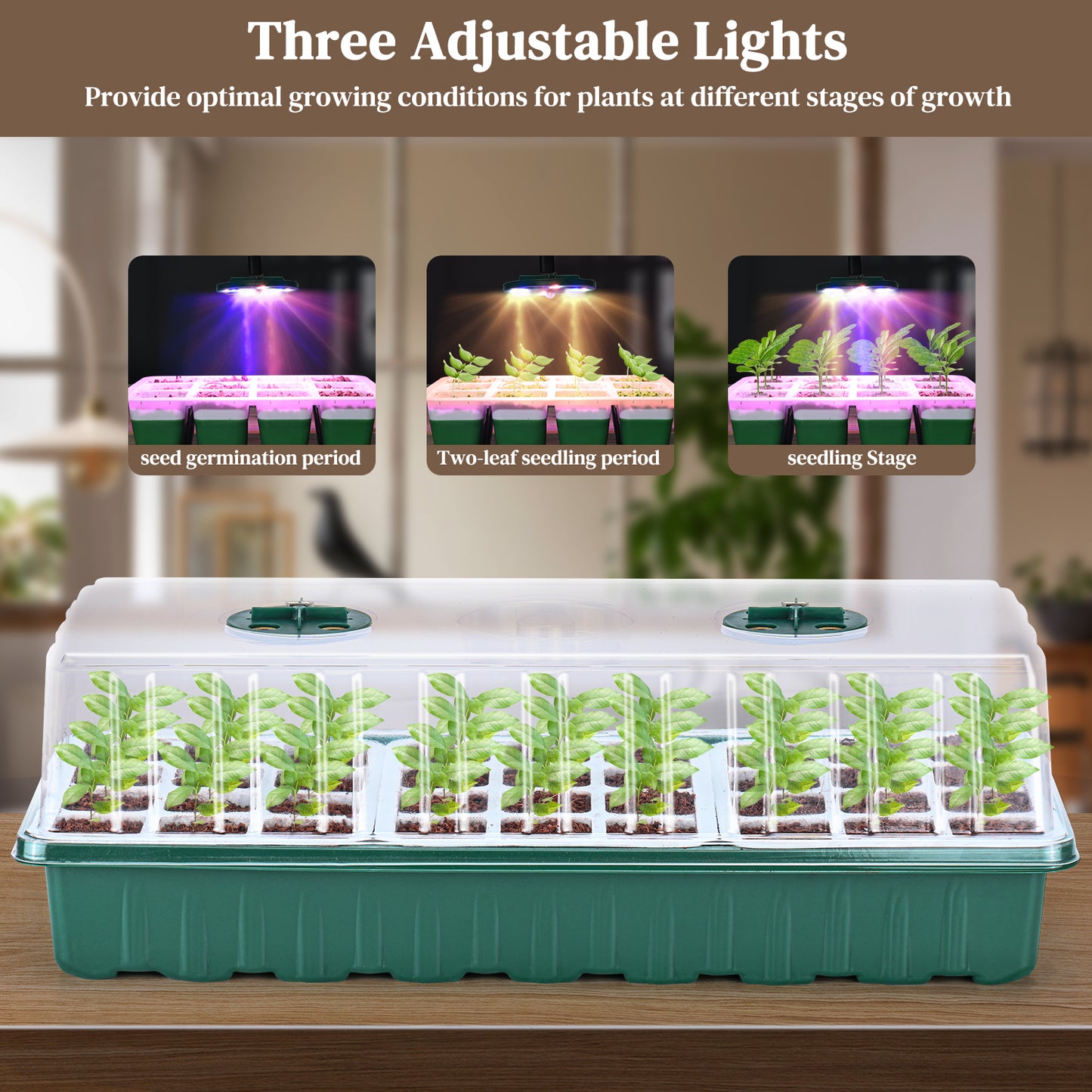 Seed Starter Tray with Grow Light, 6 Pack Seed Tray Kits with 72-Cell/Seedling Tray with Humidity Dome/Indoor Grow Kit for Flowers, Vegetables, Fruits, Herbs Seeds Growing