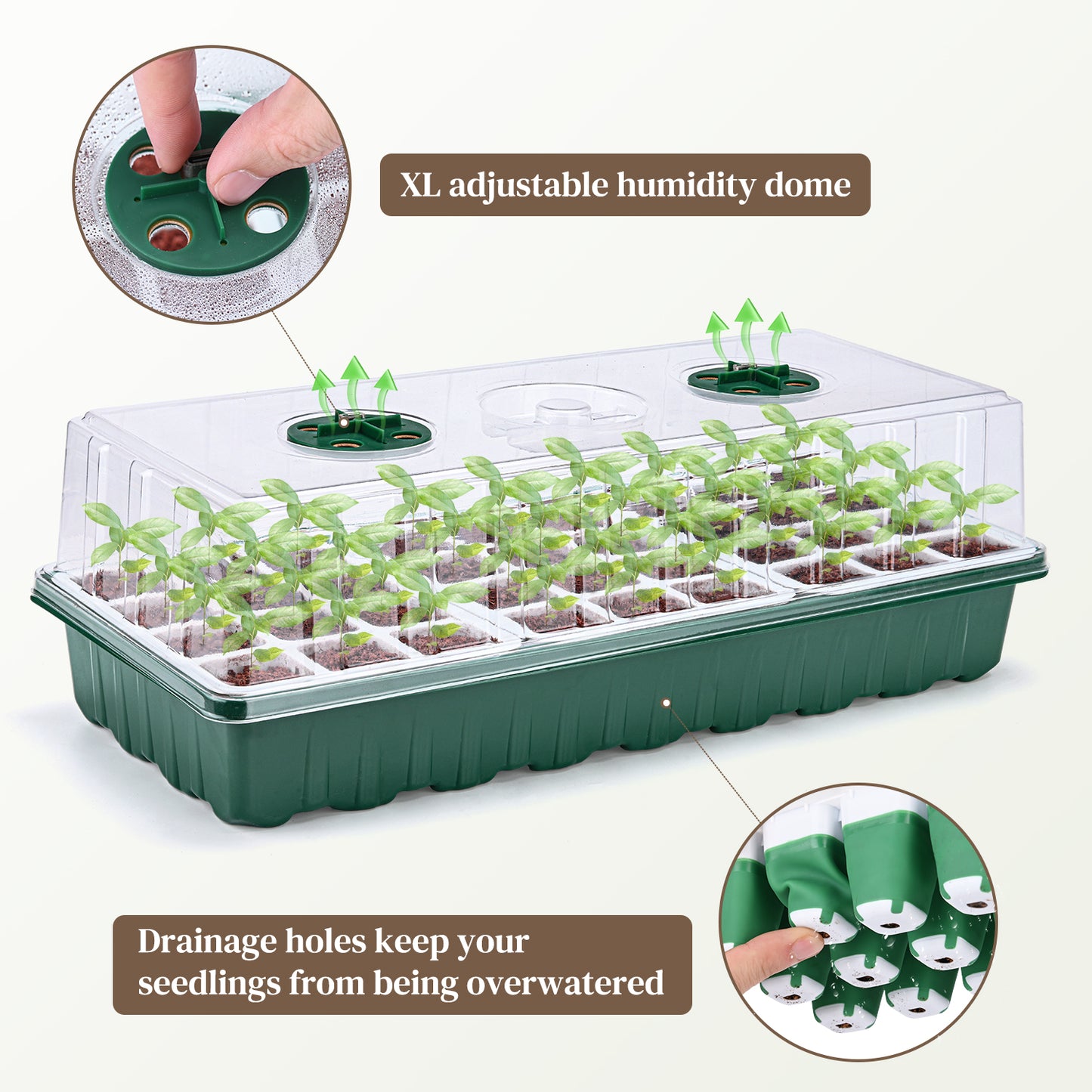 Seed Starter Tray with Grow Light, 6 Pack Seed Tray Kits with 72-Cell/Seedling Tray with Humidity Dome/Indoor Grow Kit for Flowers, Vegetables, Fruits, Herbs Seeds Growing